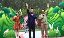 羊村最新爆料新闻视频,最新爆料新闻视频深度解析