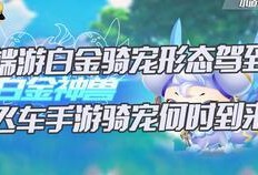 飞车骑宠最新爆料,神秘骑宠技能大揭秘，速度与激情再升级！